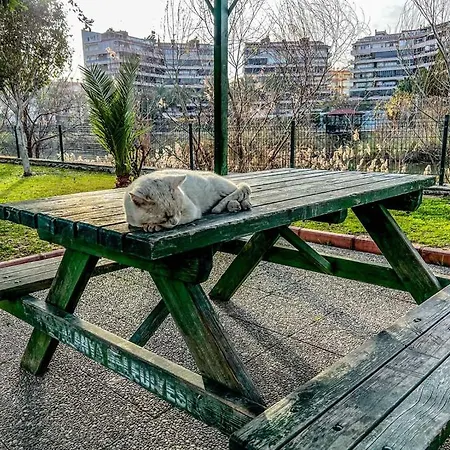 Peaceful Riverside Retreat 10-min Walk To Beach, Steps From National Park In Appartement Alanya